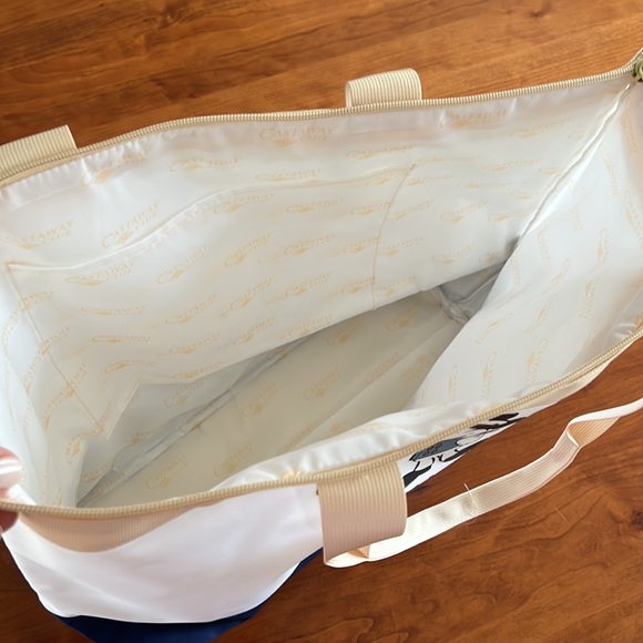 *NEW* Disney Wish Castaway Club Inaugural Sailings tote 2022 🚢 Disney Cruise - Picture 4 of 6